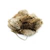 Image 4 : WINTER FUR HAT LOT