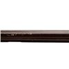 Image 10 : UNKNOWN MAKER | Model: Fowler | Caliber: 16 G