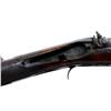Image 13 : UNKNOWN MAKER | Model: Fowler | Caliber: 16 G