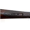Image 20 : UNKNOWN MAKER | Model: Fowler | Caliber: 16 G
