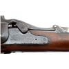 Image 14 : US SPRINGFIELD  | Model: 1884 Trapdoor Rod Bayonet | Caliber: .45-70 GOVT
