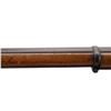 Image 9 : CANADIAN ENFIELD | Model: 1856 Sergeant's Model | Caliber: .577 PERCUSSION