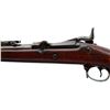 Image 6 : US SPRINGFIELD | Model: 1884 Trapdoor Rod Bayonet | Caliber: .45-70 GOVT