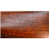 Image 24 : US SPRINGFIELD | Model: 1816 Musket Conversion | Caliber: .69 CAL