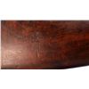 Image 13 : BRITISH MARTINI HENRY | Model: MKIII | Caliber: .577-450