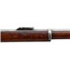 Image 17 : BRITISH MARTINI HENRY | Model: MKIV | Caliber: .577-450