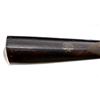Image 17 : ELWELL & SONS | Model: Side bY Side Hammer Gun | Caliber: 10 G