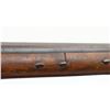 Image 15 : UNKNOWN BRITISH | Model: Fowler | Caliber: 12 G
