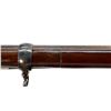 Image 11 : US SPRINGFIELD | Model: 1878 | Caliber: .45-70 GOVT