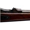 Image 16 : US SPRINGFIELD | Model: 1878 | Caliber: .45-70 GOVT