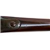 Image 19 : US SPRINGFIELD | Model: 1878 | Caliber: .45-70 GOVT
