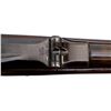 Image 21 : US SPRINGFIELD | Model: 1878 | Caliber: .45-70 GOVT