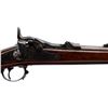 Image 3 : US SPRINGFIELD | Model: 1878 | Caliber: .45-70 GOVT