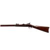 Image 5 : US SPRINGFIELD | Model: 1878 | Caliber: .45-70 GOVT