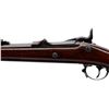 Image 6 : US SPRINGFIELD | Model: 1878 | Caliber: .45-70 GOVT