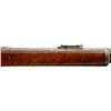Image 17 : BRITISH MARTINI HENRY | Model: MKII | Caliber: .577-450