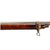 Image 19 : BRITISH MARTINI HENRY | Model: MKII | Caliber: .577-450
