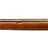 Image 11 : EGYPTIAN ROLLING BLOCK | Model: Military | Caliber: .43 EGYPTIAN