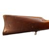 Image 14 : EGYPTIAN ROLLING BLOCK | Model: Military | Caliber: .43 EGYPTIAN