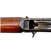 Image 13 : FN BROWNING | Model: Auto 5 | Caliber: 12 G X 2 3/4"