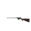 Image 4 : CHARTER ARMS | Model: AR-7 Explorer | Caliber: .22 LR