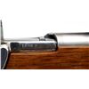 Image 12 : RUSSIAN MOSIN NAGANT | Model: 91/30 Custom | Caliber: 7.62 X 54R