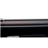 Image 8 : PIETTA | Model: PPSH 41 | Caliber: .22 LR