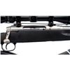 Image 3 : SAVAGE | Model: Axis Stainless | Caliber: .243 WIN