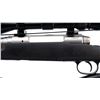 Image 6 : SAVAGE | Model: Axis Stainless | Caliber: .243 WIN