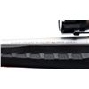 Image 8 : SAVAGE | Model: Axis Stainless | Caliber: .243 WIN