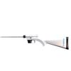 Image 5 : HENRY REPEATING ARMS | Model: US Survival | Caliber: .22 LR