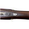 Image 9 : IVER JOHNSON | Model: Hercules Grade Hammerless | Caliber: 12 G X 3"