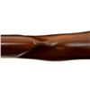 Image 12 : REMINGTON | Model: Vantage 1200 | Caliber: .177 CAL PELLET