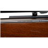 Image 8 : DIANA | Model: 48 | Caliber: .177 CAL PELLET
