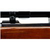 Image 7 : RUGER | Model: 77 | Caliber: .338 WIN MAG
