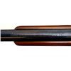 Image 9 : RUGER | Model: 77 | Caliber: .338 WIN MAG