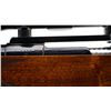 Image 7 : DWM MAUSER | Model: 1908 Custom | Caliber: .264 WIN MAG