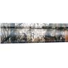 Image 20 : MOSSBERG | Model: 500, Three Barrel Set | Caliber: 12 G X 3"