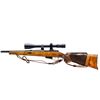 Image 5 : BRNO | Model: ZKW465 | Caliber: .22 HORNET