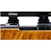 Image 8 : BRNO | Model: ZKW465 | Caliber: .22 HORNET