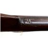 Image 12 : WINCHESTER | Model: 1887 | Caliber: 12 G X 2 3/4"