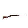 Image 1 : WINCHESTER | Model: 1887 | Caliber: 12 G X 2 3/4"