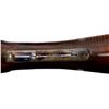Image 12 : COLT | Model: 1883 | Caliber: 12 G X 2 3/4è