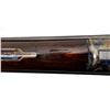 Image 14 : COLT | Model: 1883 | Caliber: 12 G X 2 3/4è