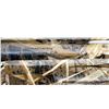 Image 9 : WEATHERBY | Model: SA-08 Waterfowler Max 5 | Caliber: 12 G X 3"