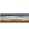 Image 9 : MOSSBERG | Model: MVP | Caliber: 5.56MM NATO