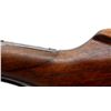 Image 8 : MARLIN JM | Model: 1936 | Caliber: .32 SPL