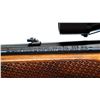 Image 10 : WINCHESTER | Model: 88 | Caliber: .308 WIN