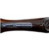 Image 18 : PARKER BROTHERS | Model: Side By Side V Grade | Caliber: 12 G X 3"