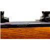 Image 8 : WEATHERBY | Model: Mark V Deluxe Varmint Master | Caliber: .224 WBY MAG